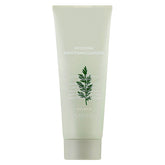 Time Revolution Artemisia Pack Foam Cleanser
