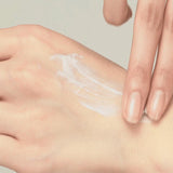 Houttuynia Cordata Calming Moisture Sun Cream SPF50+ PA++++ - Korean-Skincare