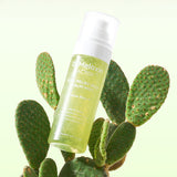 Cactox Pore Relief Jelly Serum Mist