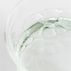  Green Plum Refreshing Toner: AHA + BHA [Renewed] - Korean-Skincare