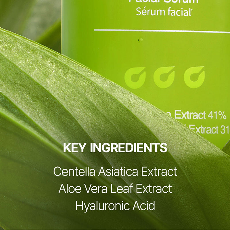 Super Soothing Cica & Aloe Facial Serum